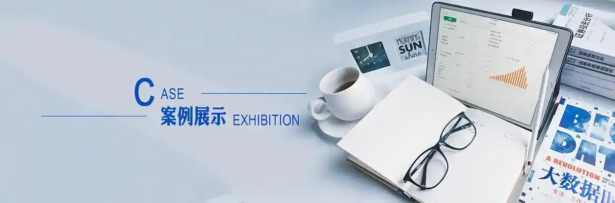 固镇县软件开发